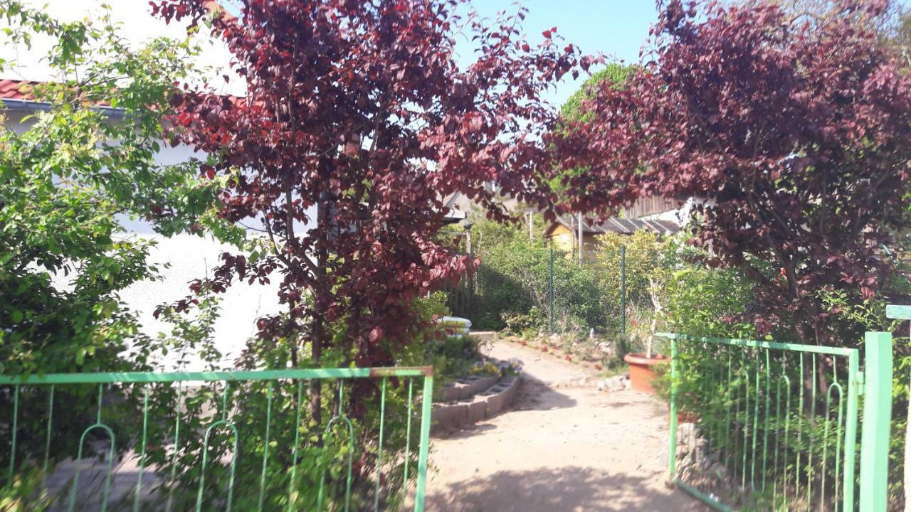 Apartments Zum Brauergang Garz  Екстериор снимка
